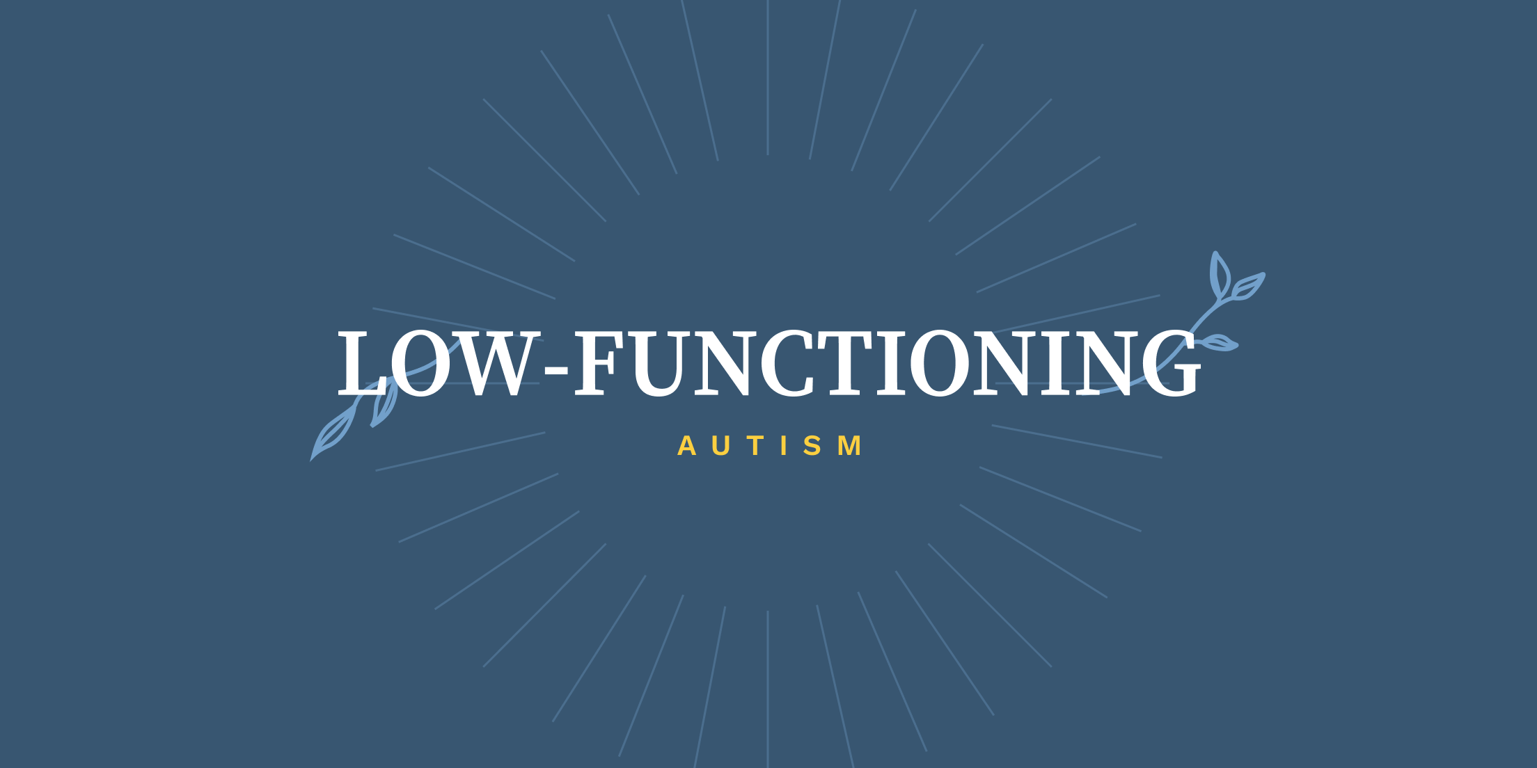 Low-Functioning Autism: The Symptoms & What It Means