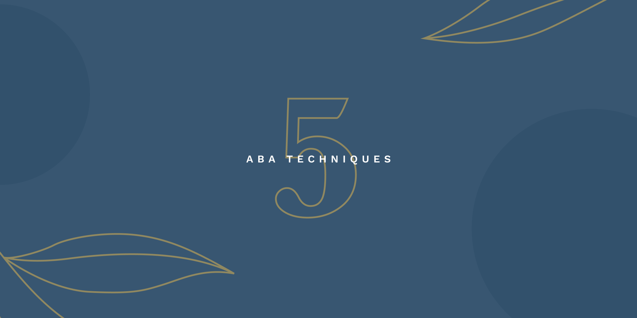 The 5 Must-Know ABA Techniques for Therapists